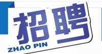 岱岳區(qū)政務(wù)服務(wù)中心招人啦！大專以上學(xué)歷，即日起報名
